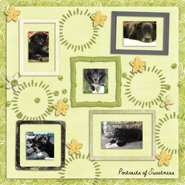 Portraits of Sweetness