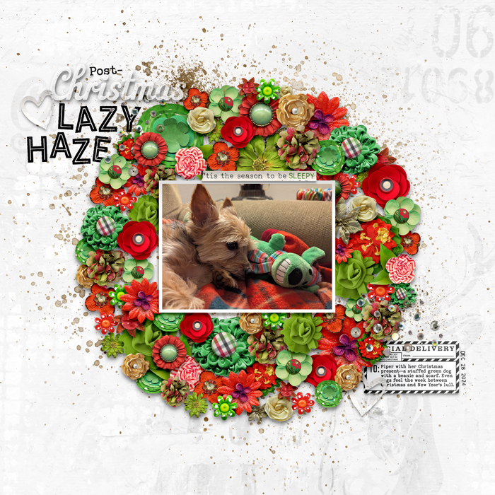 Post-Christmas Lazy Haze