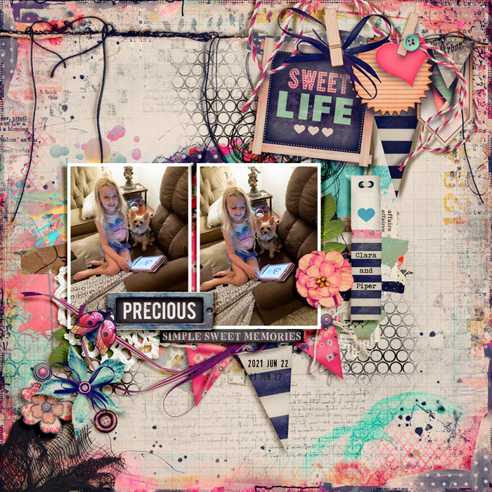 Precious Simple Sweet Memories