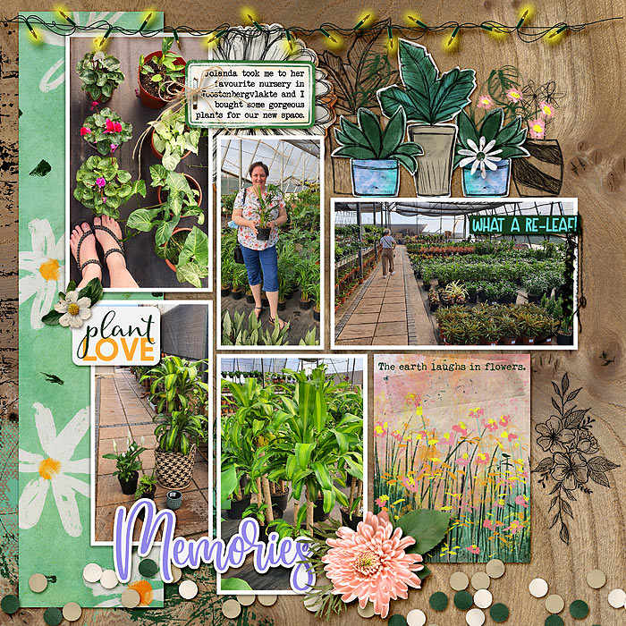 Pretty plants