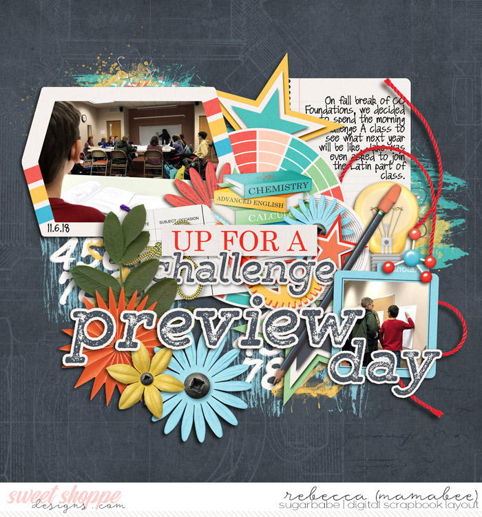 preview day
