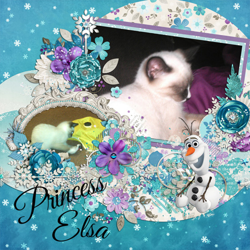 Princess Elsa