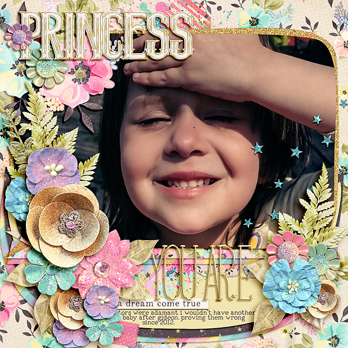 princess fair