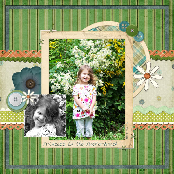 Princess in the Puckerbrush
