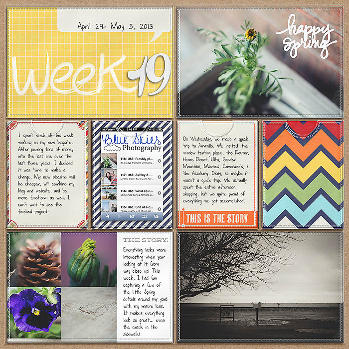 Project 2013- Week 18 (left)
