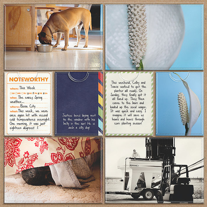 Project 2013- Week 18 (right)