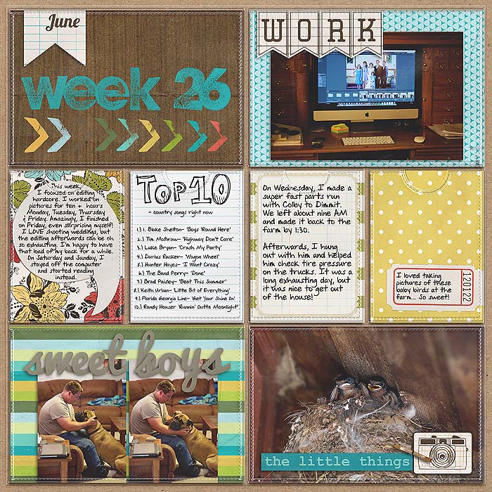 Project 2013- Week 26 (left)
