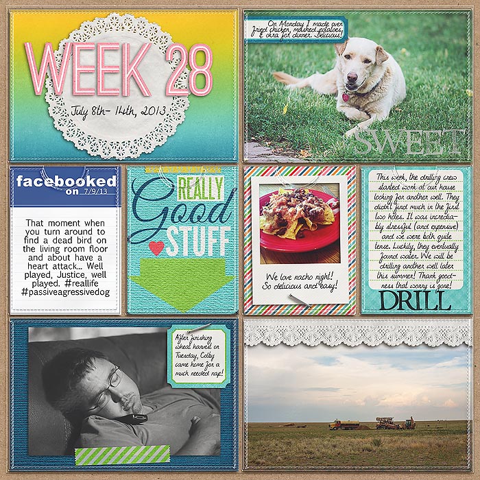 Project 2013- Week 28 (left)
