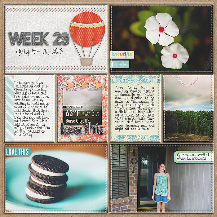 Project 2013- Week 29 (left)