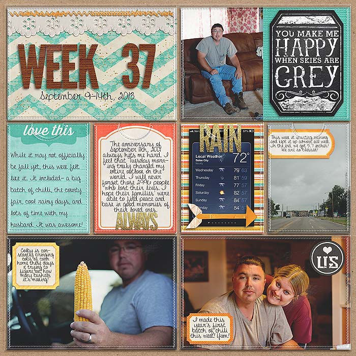 Project 2013- Week 37 (left)