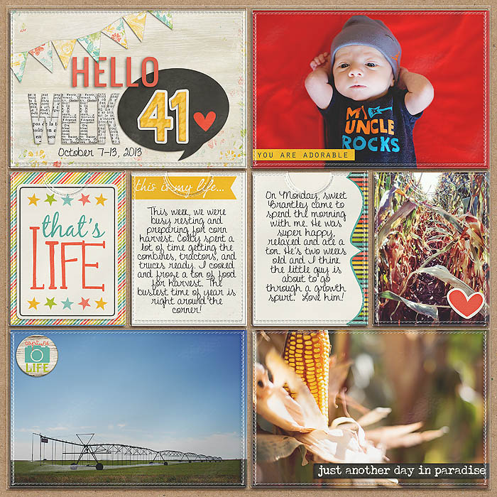 Project 2013- Week 41 (left)
