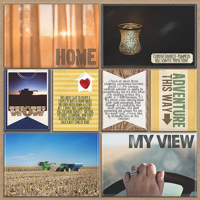 Project 2013- Week 42 (right)