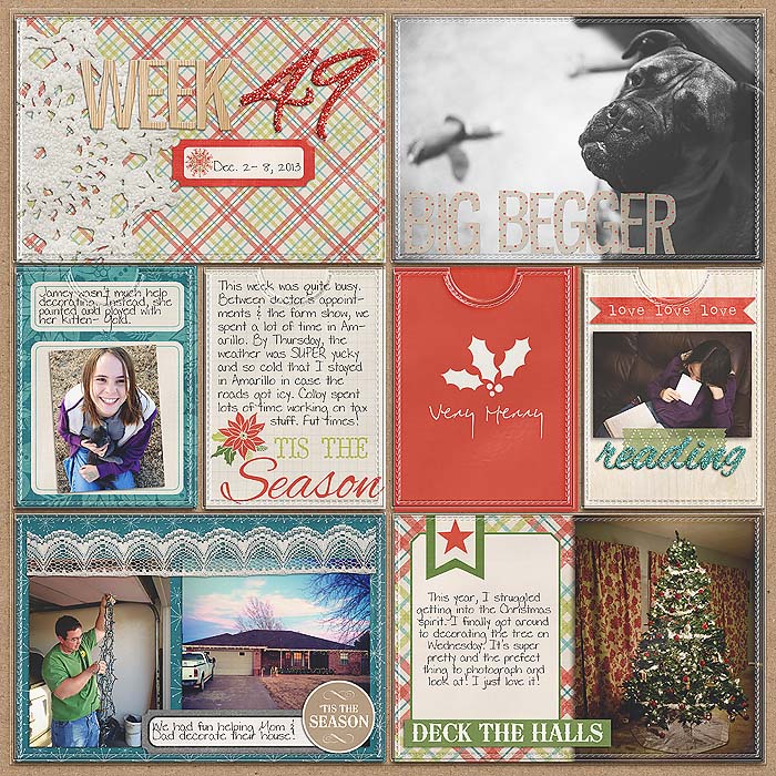 Project 2013- Week 49 (left)