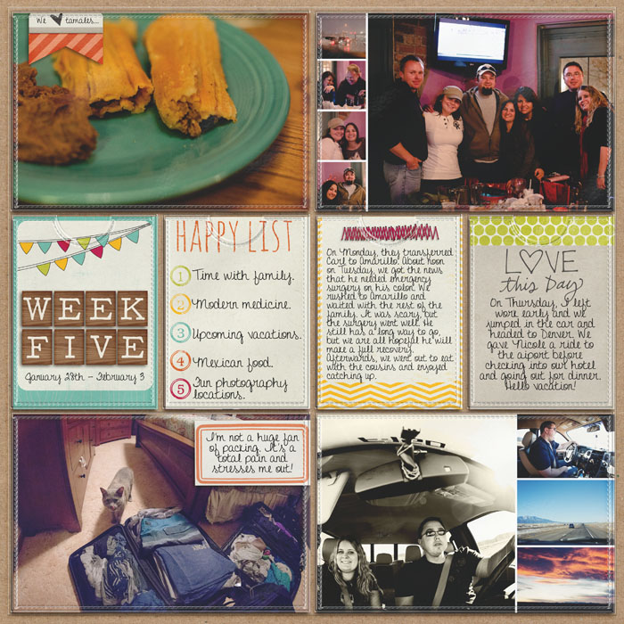 Project 2013- Week five (left)