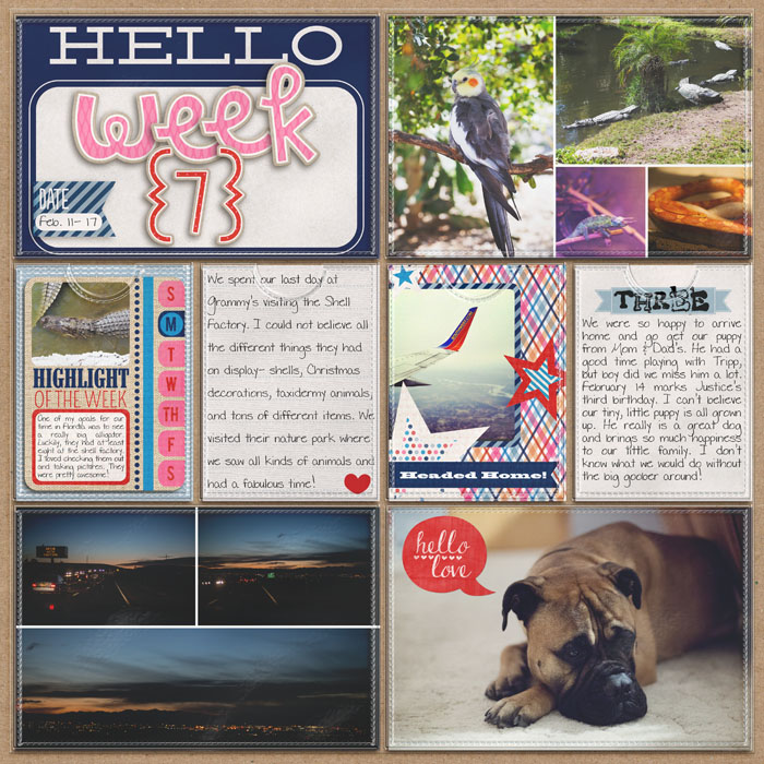 Project 2013: Week Seven (left)