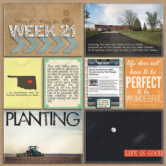 Project 2013- Wek 21 (right)