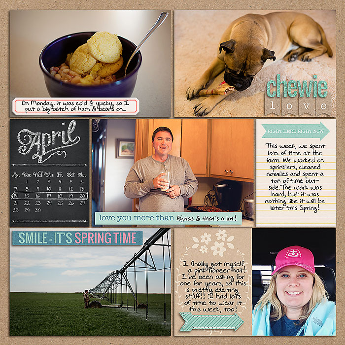 Project 2014: Week 16 (left)