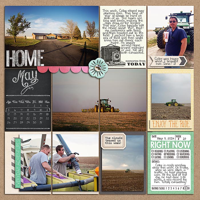 Project 2014: Week 19 (left)