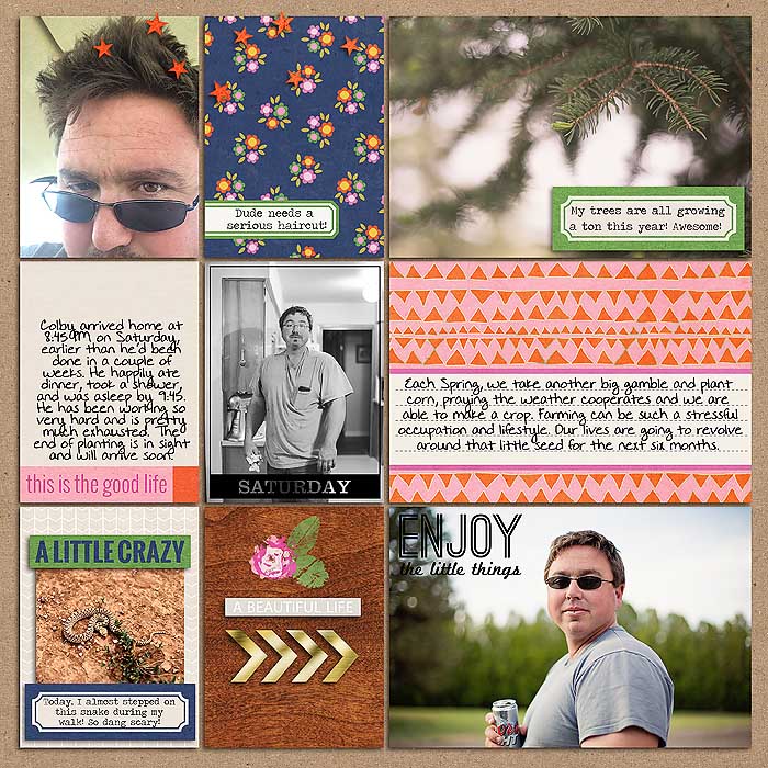Project 2014: Week 20 (right)