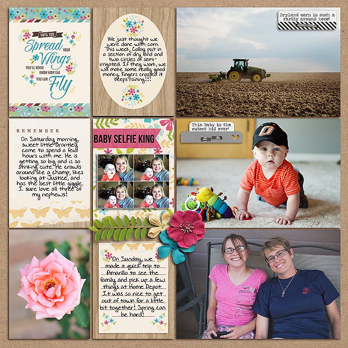 Project 2014- Week 22 (right)