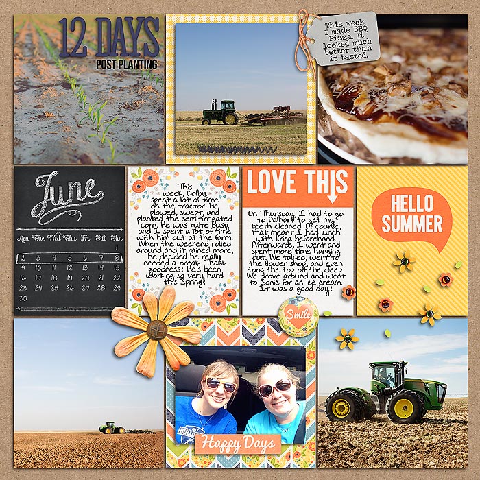 Project 2014: Week 23 (left)