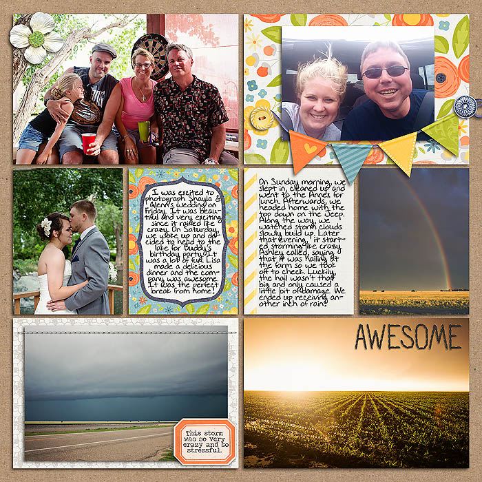 Project 2014: Week 23 (right)
