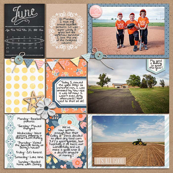 Project 2014- Week 24 (left)