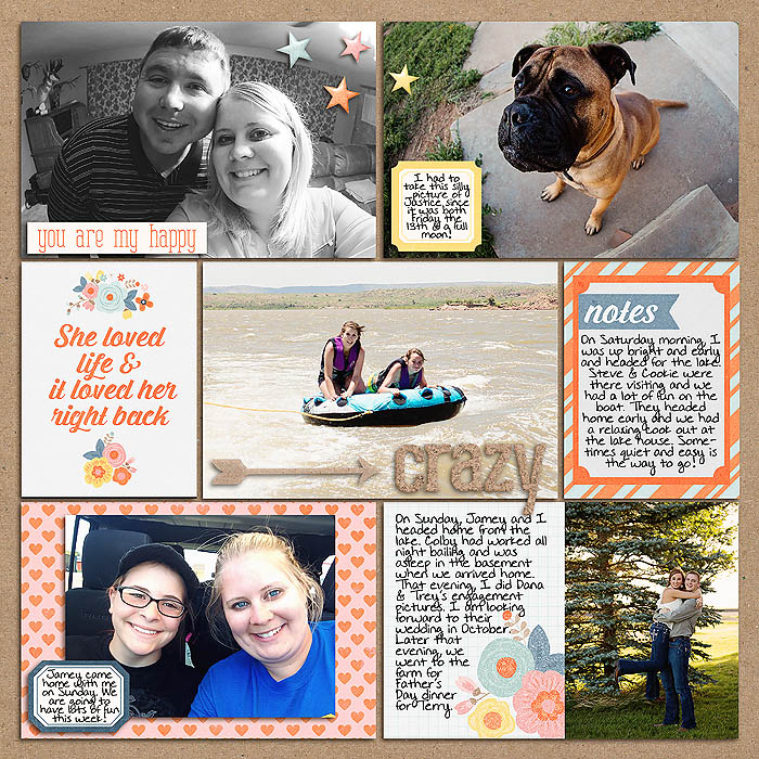 Project 2014- Week 24 (right)