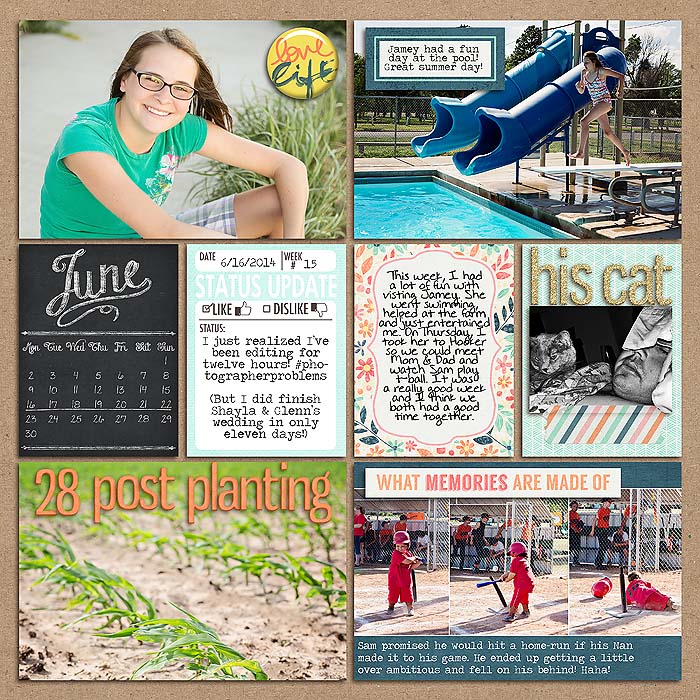 Project 2014- Week 25 (left)