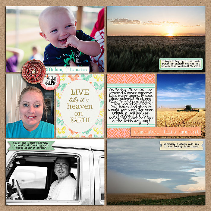 Project 2014- Week 25 (right)