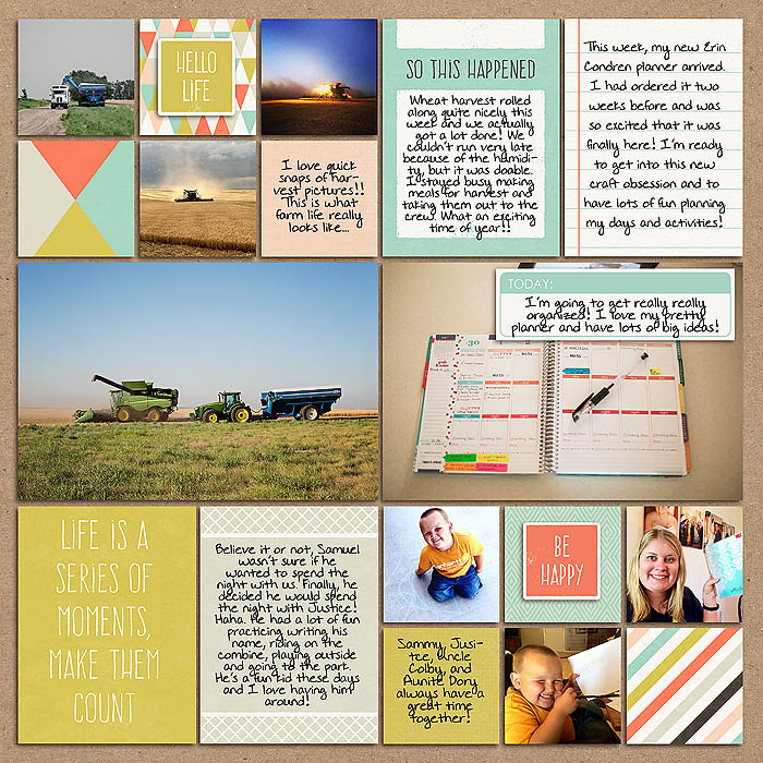 Project 2014- Week 26 (right)