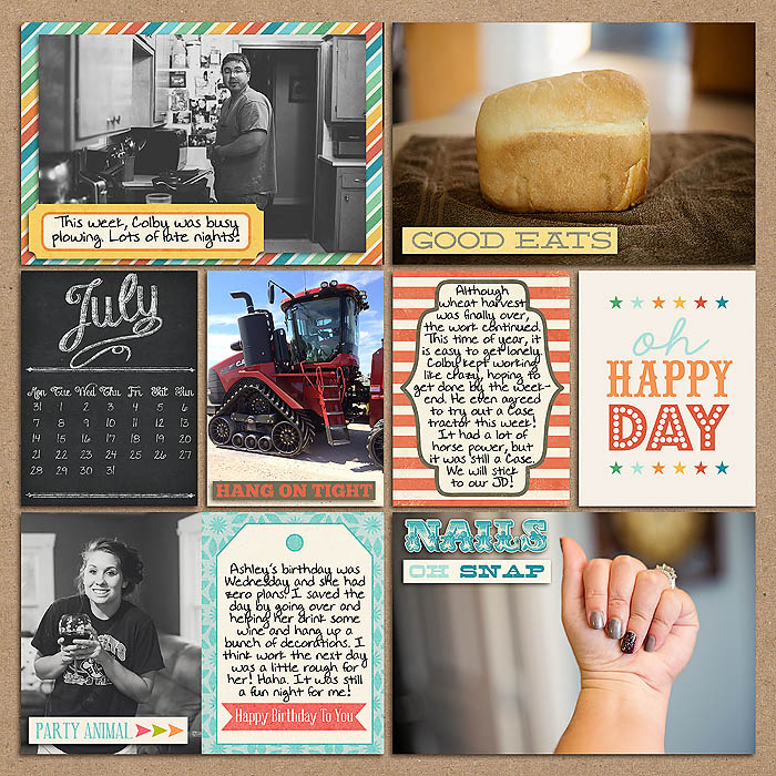 Project 2014- Week 28 (left)