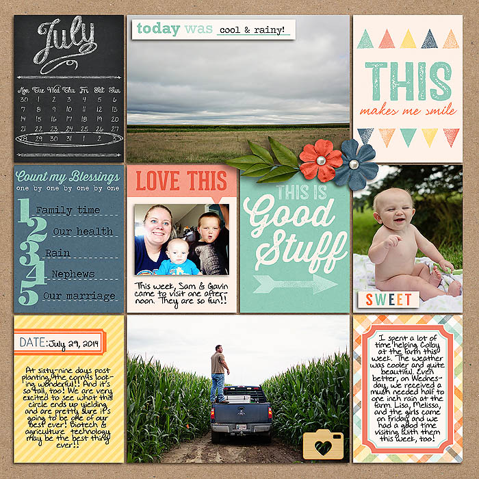 Project 2014- Week 31 (left)