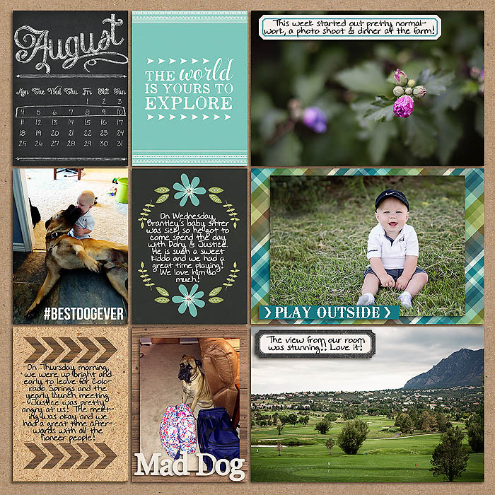 Project 2014: Week 32