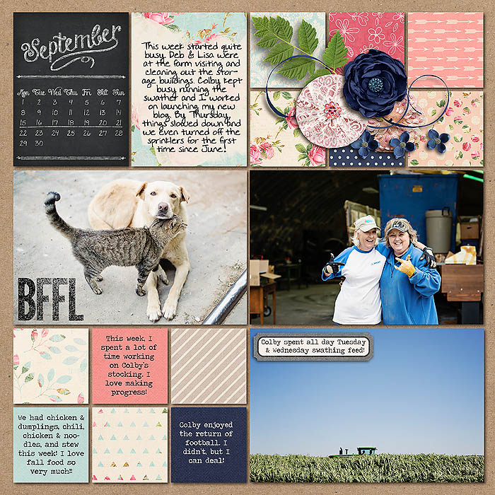 Project 2014- Week 38 (left)