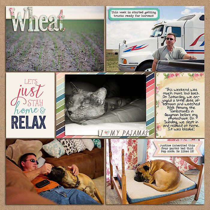 Project 2014- Week 38 (right)