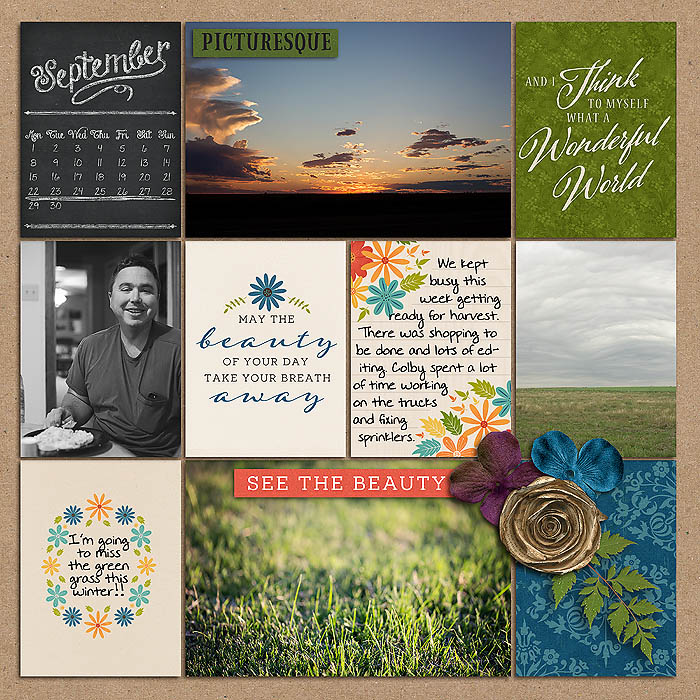 Project 2014- Week 39 (left)