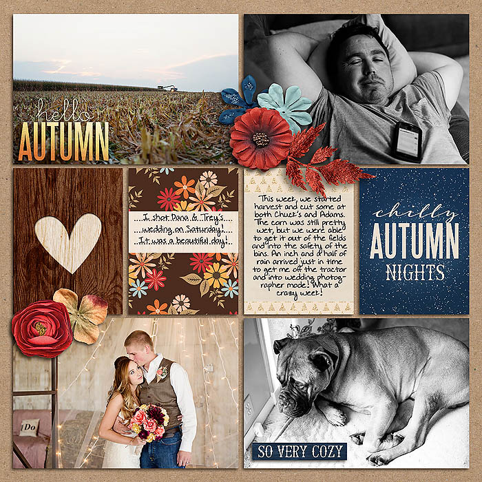 Project 2014- Week 41 (right)