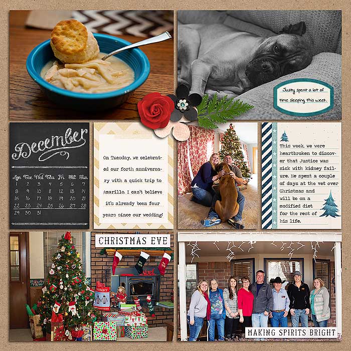 Project 2014- Week 52 (left)