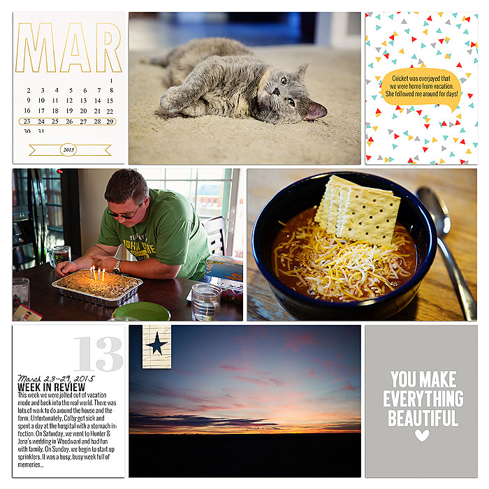 Project 2015- Week 13 (left)