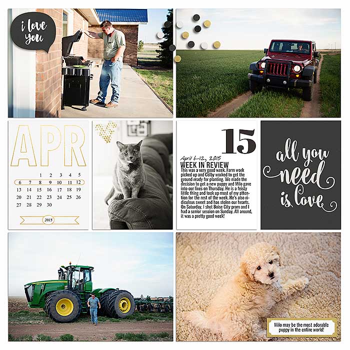 Project 2015- Week 15 (right)
