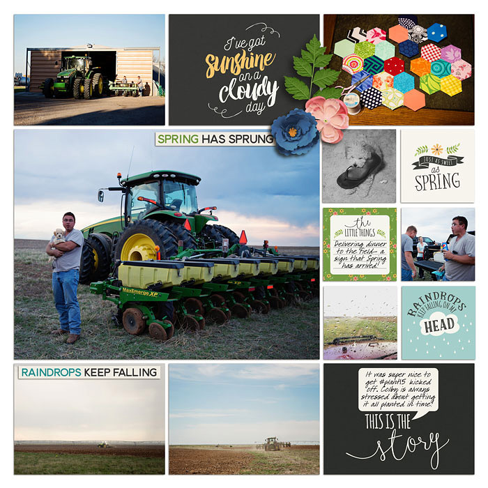 Project 2015- Week 18 (right)