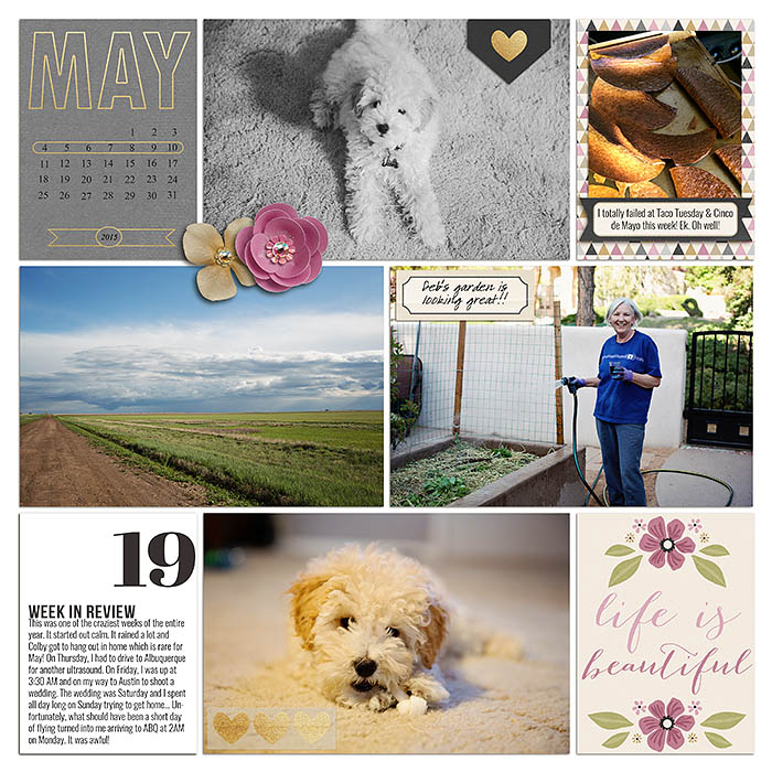 Project 2015- Week 19 (left)