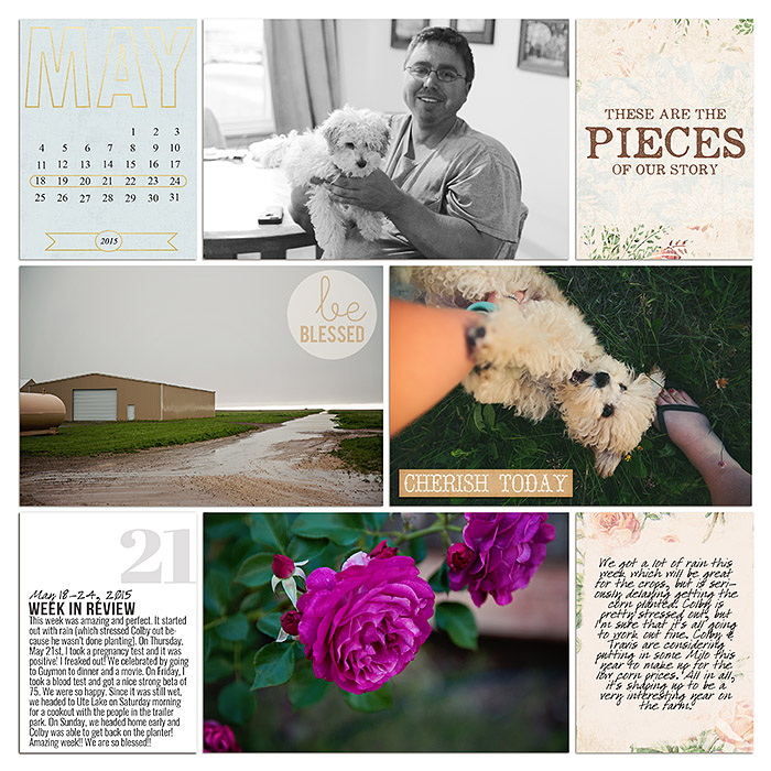 Project 2015- Week 21 (left)