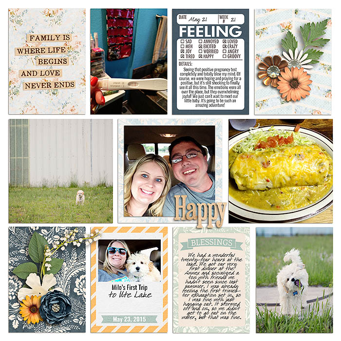 Project 2015- Week 21 (right)