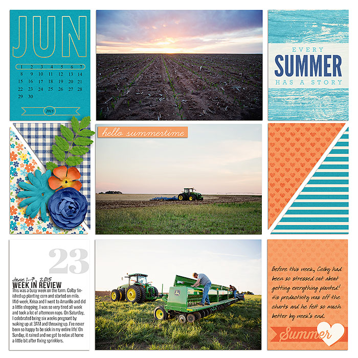Project 2015- Week 23 (left)