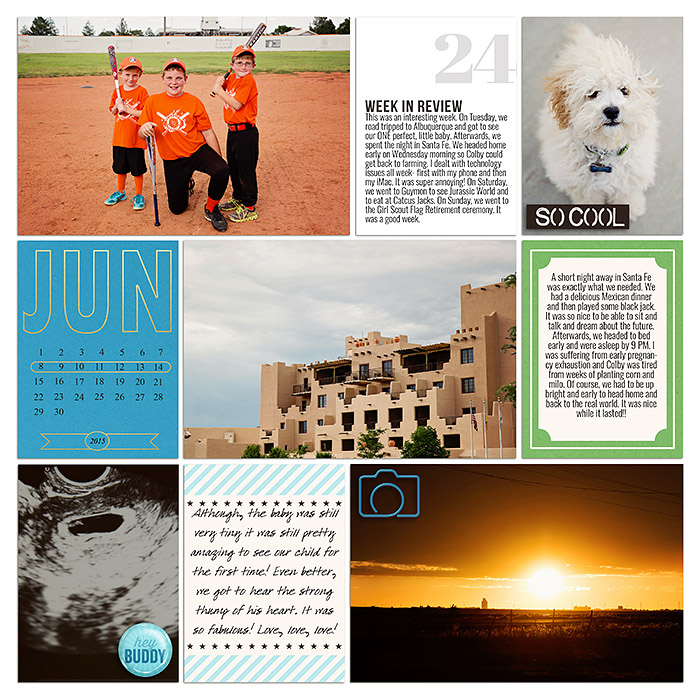 Project 2015- Week 24 (left)