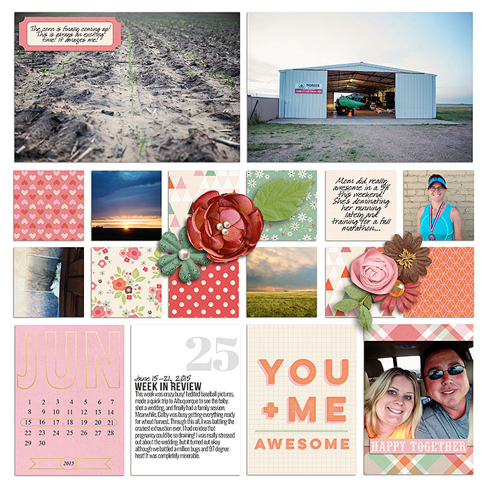 Project 2015- Week 25 (left)