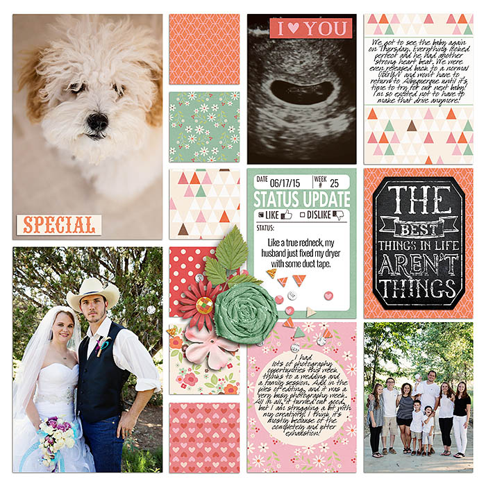Project 2015- Week 25 (right)