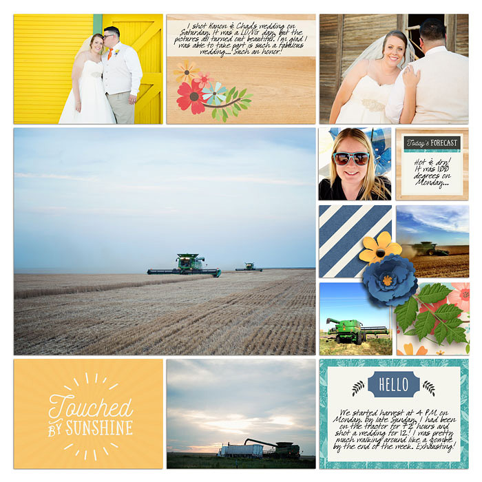 Project 2015: Week 26 (right)